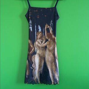 RARE Cider Artistic Dress